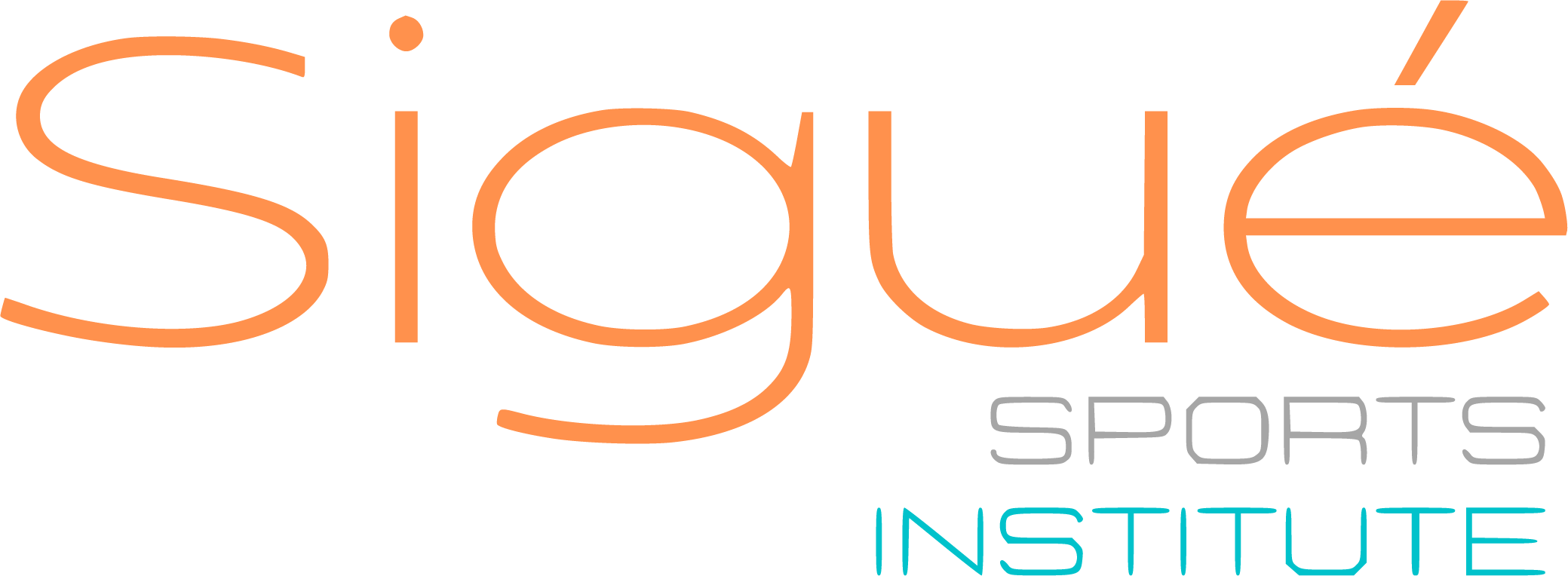 Playmaker Sports partner logo